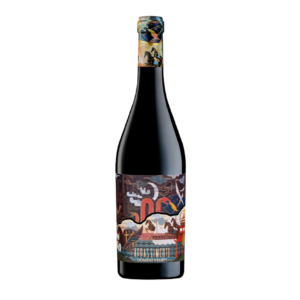 Vino Tinto Italiano Apassimento Marco Polo