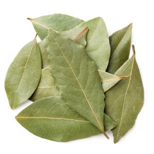 Hoja De Laurel